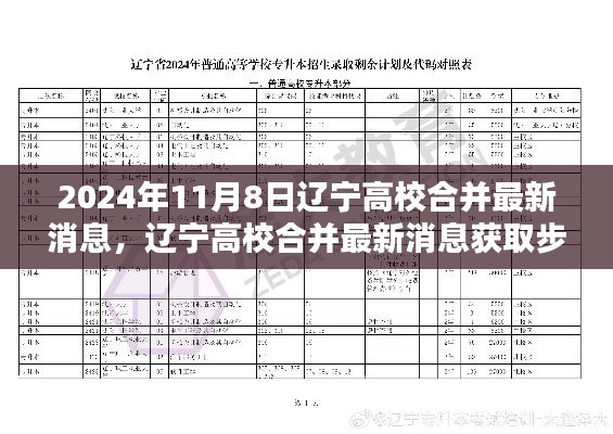 辽宁高校合并最新消息获取指南，初学者与进阶用户适用，2024年高校合并最新动态揭秘