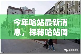 哈站周边小巷隐藏一家特色小店，独特环境惊艳亮相，等你来探秘！