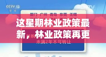 林业政策最新动向，本周更新及其时代影响力分析