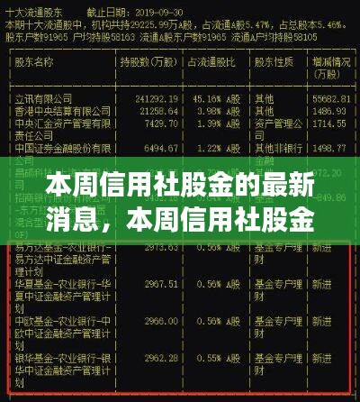 本周信用社股金动态解析与观点阐述，最新消息深度探讨