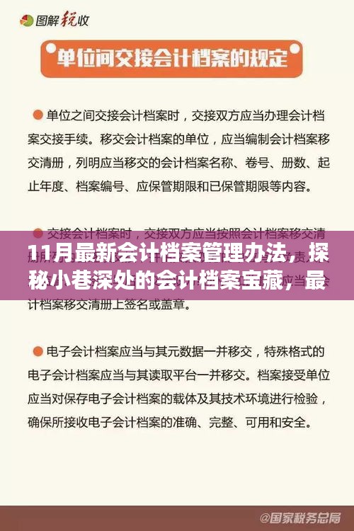 探秘最新会计档案管理办法，小巷深处的宝藏与独特故事揭秘