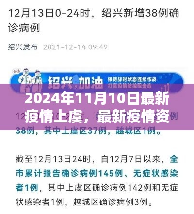 2024年11月10日上虞疫情最新动态与资讯解析