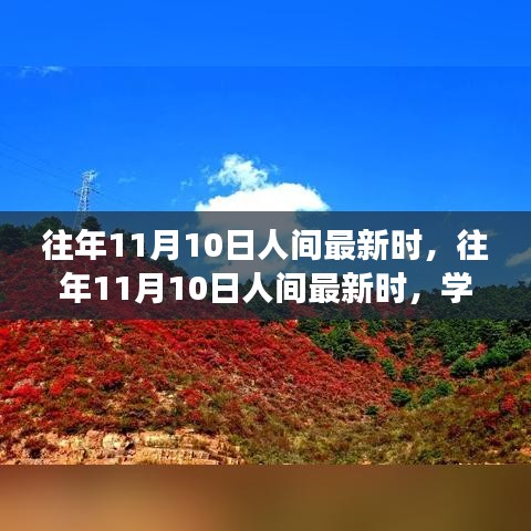 往年11月10日人间新风尚，学习变化，自信成就梦想之路