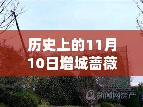 历史上的11月10日增城蔷薇国际房价揭秘，最新价格一览表！