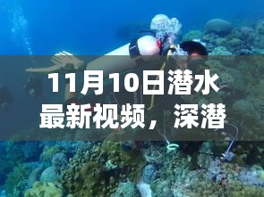 揭秘深潜新纪元，潜水最新视频的时代意义与影响（11月10日更新）