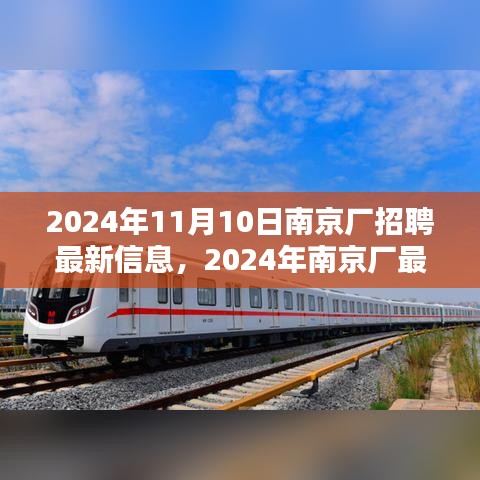 南京厂最新招聘信息解析（2024年11月）