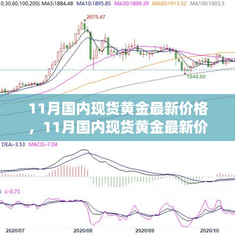 11月国内现货黄金最新价格深度解析与全面评测报告