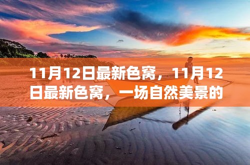 11月12日最新色窝探秘之旅，自然美景中寻找内心平和与宁静