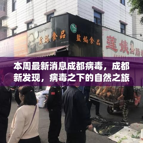 成都病毒新发现，自然之旅中的心灵港湾探寻