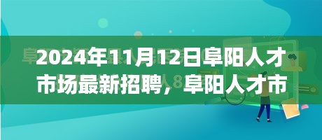 2024年11月12日阜阳人才市场招聘盛况概览