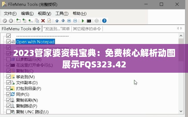 2023管家婆资料宝典：免费核心解析动图展示FQS323.42