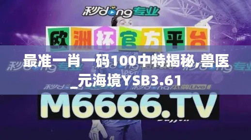 最准一肖一码100中特揭秘,兽医_元海境YSB3.61