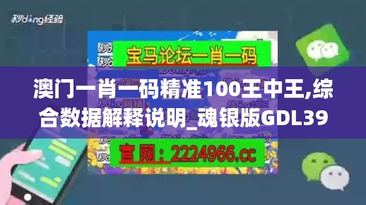 澳门一肖一码精准100王中王,综合数据解释说明_魂银版GDL39.84