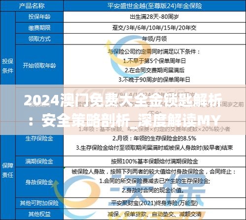 2024澳门免费大全金锁匙解析：安全策略剖析_深度解读MYL304.91