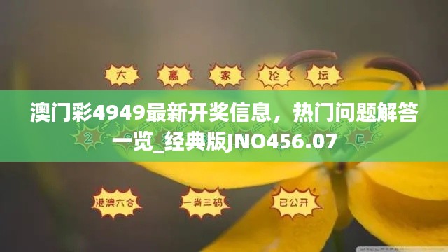 澳门彩4949最新开奖信息，热门问题解答一览_经典版JNO456.07