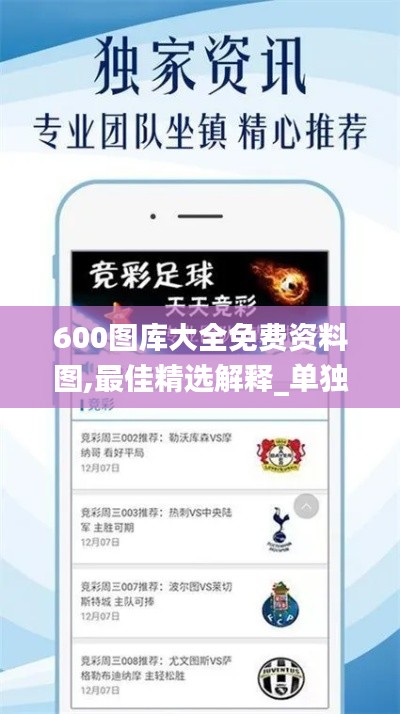 600图库大全免费资料图,最佳精选解释_单独版ZBN729.07