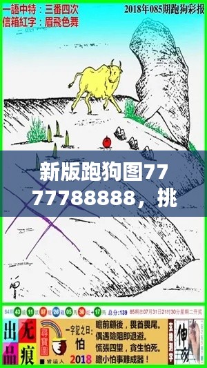 新版跑狗图7777788888，挑战TDM565.02资料解析