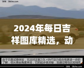 2024年每日吉祥图库精选，动态解读_SXR232.69遗憾缺席