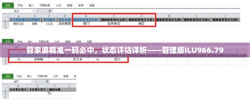 管家婆精准一码必中，状态评估详析——管理版ILU966.79