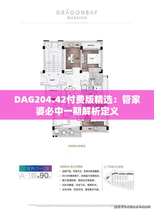 DAG204.42付费版精选：管家婆必中一期解析定义