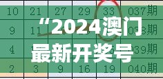 “2024澳门最新开奖号码解读，精选预测版YVM543.74详解”