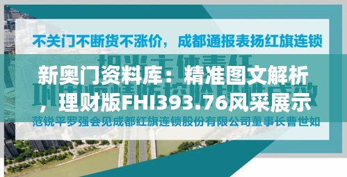 新奥门资料库：精准图文解析，理财版FHI393.76风采展示