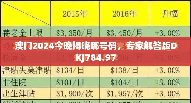 澳门2024今晚揭晓哪号码，专家解答版DKJ784.97