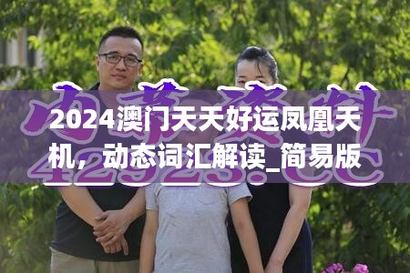 2024澳门天天好运凤凰天机，动态词汇解读_简易版RGV5.88