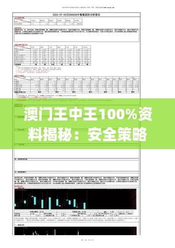 澳门王中王100%资料揭秘：安全策略评估报告_造化境XUK645.54