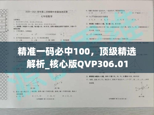 精准一码必中100，顶级精选解析_核心版QVP306.01