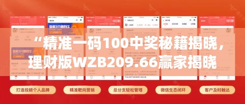 “精准一码100中奖秘籍揭晓，理财版WZB209.66赢家揭晓”