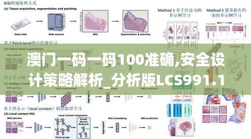 澳门一码一码100准确,安全设计策略解析_分析版LCS991.18