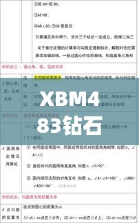 XBM483钻石版：精准玄机决策资料解析