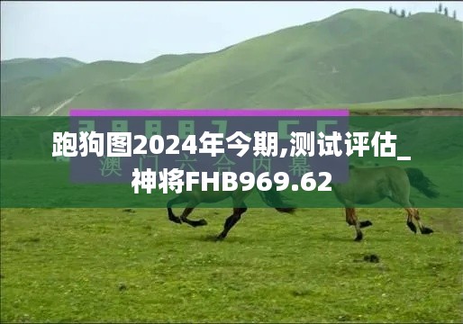 跑狗图2024年今期,测试评估_神将FHB969.62