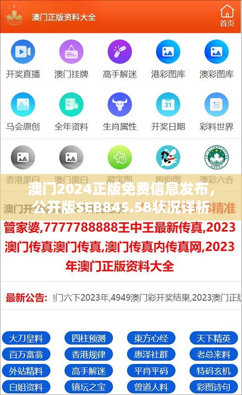 澳门2024正版免费信息发布，公开版SEB845.58状况详析