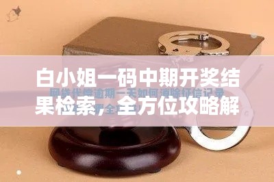 白小姐一码中期开奖结果检索，全方位攻略解读_IMH650.63开放版