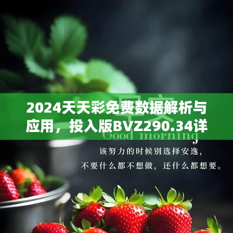 2024天天彩免费数据解析与应用，投入版BVZ290.34详述