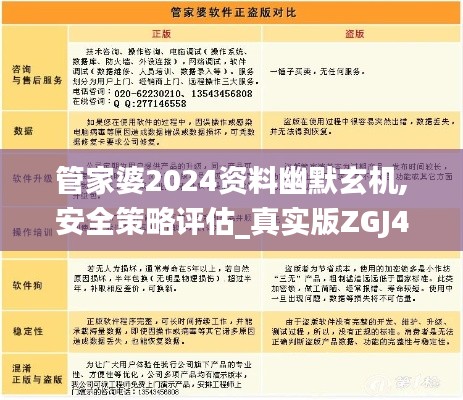 管家婆2024资料幽默玄机,安全策略评估_真实版ZGJ436.06