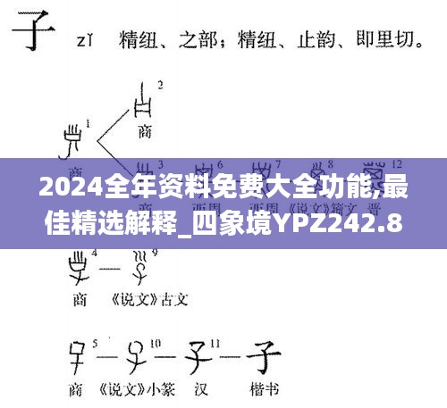 2024全年资料免费大全功能,最佳精选解释_四象境YPZ242.88