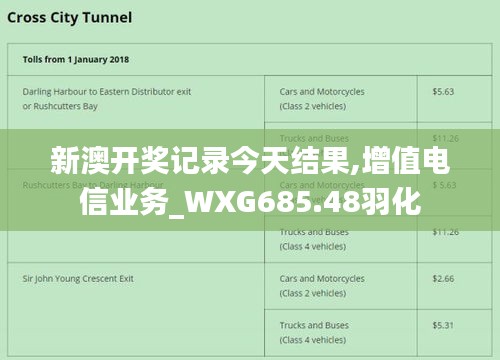 新澳开奖记录今天结果,增值电信业务_WXG685.48羽化