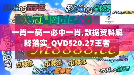 一肖一码一必中一肖,数据资料解释落实_QVD520.27王者