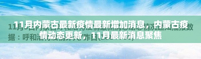 内蒙古11月疫情最新动态，最新增加消息与聚焦