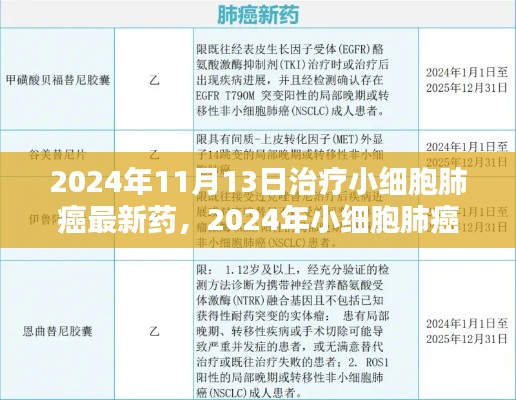 2024年小细胞肺癌治疗新药全面解析与用户体验，最新药物评测及疗效展望