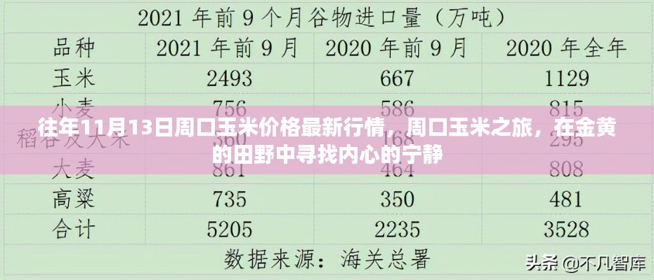 往年11月13日周口玉米价格更新，田野探索与内心宁静之旅