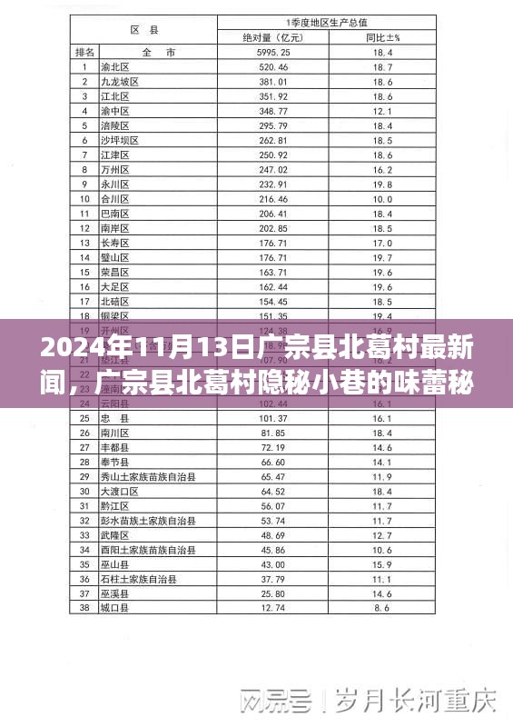 广宗县北葛村隐秘小巷的美食秘境，最新探秘之旅（2024年11月13日）