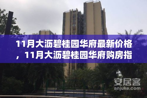 11月大沥碧桂园华府最新价格及购房指南，全面解析最新价格信息与购房步骤