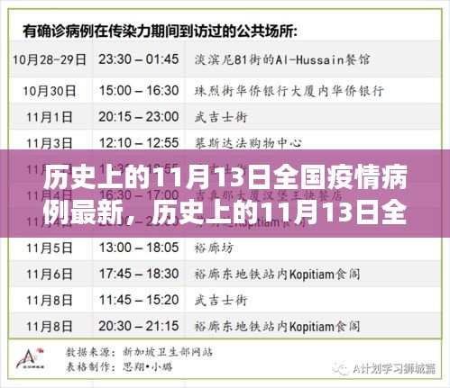 历史上的11月13日全国疫情病例最新进展与科普解读，疫情动态及影响分析