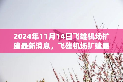 2024年11月14日飞雄机场扩建最新进展与动态