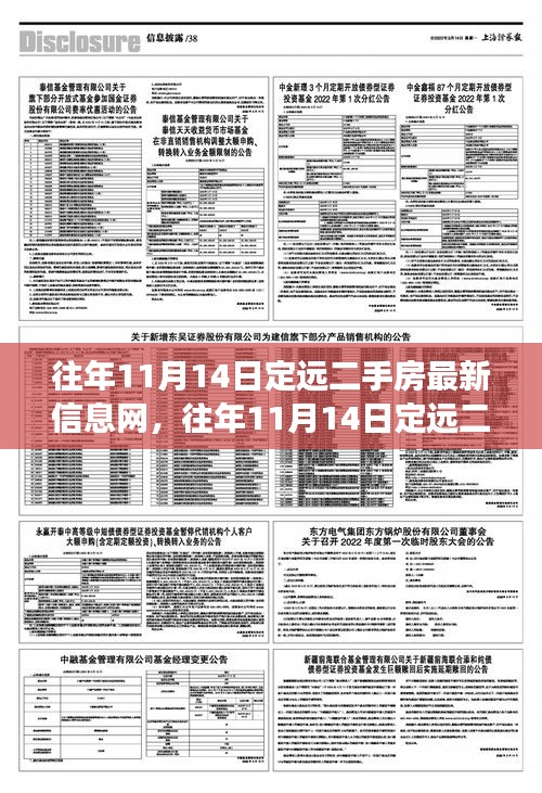 往年11月14日定远二手房实时信息及市场动态概览