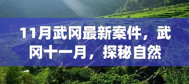 武冈十一月最新案件与探寻自然美景之旅